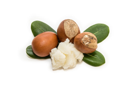 Shea Butter and Oat Collection